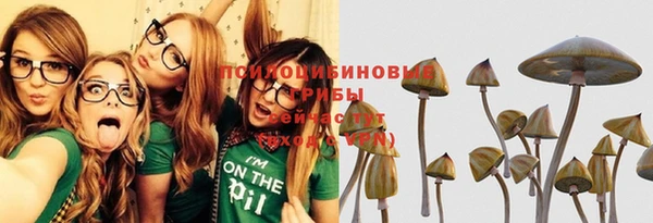 тгк Алзамай