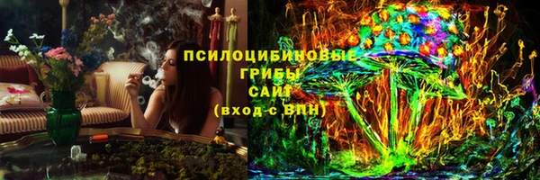 тгк Алзамай