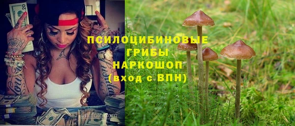 тгк Алзамай