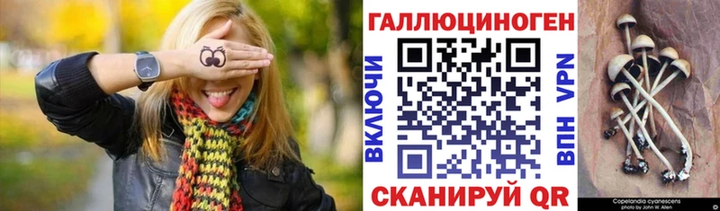 Псилоцибиновые грибы Psilocybe  где купить   Сунжа 