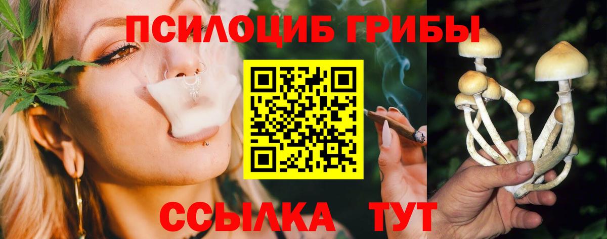 Галлюциногенные грибы Psilocybe Сунжа
